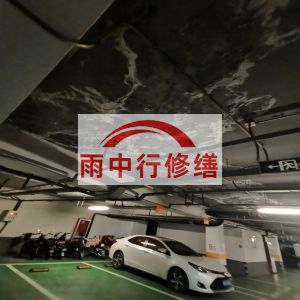 西双版纳鄂尔多斯万基西山丽景地下室堵漏